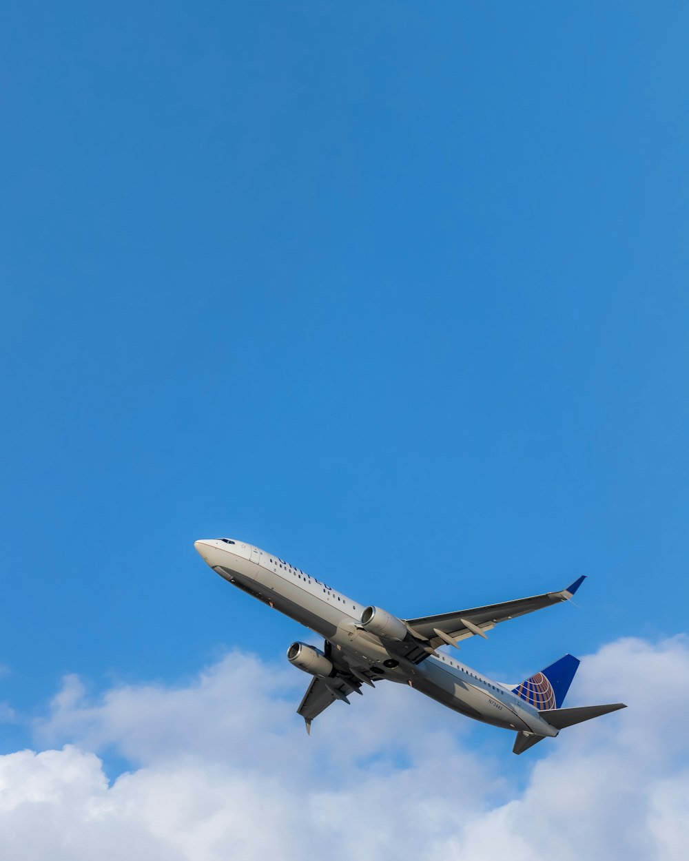 Air cargo export